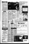 West Briton and Cornwall Advertiser Thursday 20 January 1994 Page 17