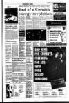 West Briton and Cornwall Advertiser Thursday 03 February 1994 Page 19