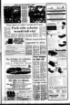 West Briton and Cornwall Advertiser Thursday 17 March 1994 Page 5