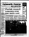 West Briton and Cornwall Advertiser Thursday 17 March 1994 Page 81