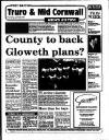 West Briton and Cornwall Advertiser Thursday 28 April 1994 Page 57