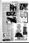 West Briton and Cornwall Advertiser Thursday 09 June 1994 Page 17