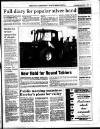 West Briton and Cornwall Advertiser Thursday 01 September 1994 Page 79