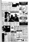 West Briton and Cornwall Advertiser Thursday 26 January 1995 Page 17