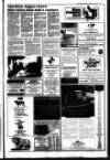 West Briton and Cornwall Advertiser Thursday 01 June 1995 Page 15