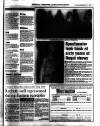 West Briton and Cornwall Advertiser Thursday 14 September 1995 Page 103