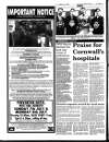 West Briton and Cornwall Advertiser Thursday 04 July 1996 Page 10
