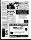 West Briton and Cornwall Advertiser Thursday 25 July 1996 Page 17