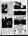 West Briton and Cornwall Advertiser Thursday 17 July 1997 Page 235