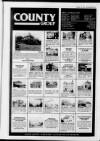 Sevenoaks Chronicle and Kentish Advertiser Friday 01 July 1988 Page 77