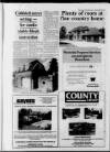 Sevenoaks Chronicle and Kentish Advertiser Friday 02 September 1988 Page 65