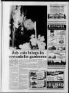 Sevenoaks Chronicle and Kentish Advertiser Friday 02 September 1988 Page 85