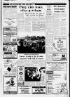 Sevenoaks Chronicle and Kentish Advertiser Thursday 25 January 1990 Page 3