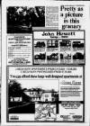 Sevenoaks Chronicle and Kentish Advertiser Thursday 08 February 1990 Page 33