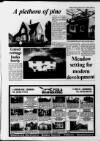 Sevenoaks Chronicle and Kentish Advertiser Thursday 29 March 1990 Page 33