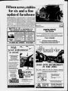 Sevenoaks Chronicle and Kentish Advertiser Thursday 05 April 1990 Page 51