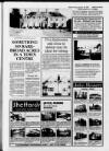 Sevenoaks Chronicle and Kentish Advertiser Thursday 17 January 1991 Page 29