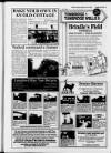 Sevenoaks Chronicle and Kentish Advertiser Thursday 17 January 1991 Page 31