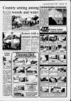 Sevenoaks Chronicle and Kentish Advertiser Thursday 04 November 1993 Page 31