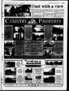 Sevenoaks Chronicle and Kentish Advertiser Thursday 19 January 1995 Page 47