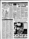 Sevenoaks Chronicle and Kentish Advertiser Thursday 17 August 1995 Page 11