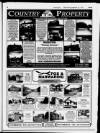 Sevenoaks Chronicle and Kentish Advertiser Thursday 21 September 1995 Page 47