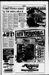 Chester Chronicle Friday 27 January 1995 Page 17
