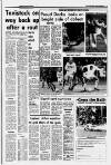 Western Evening Herald Monday 22 December 1986 Page 11