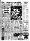 Western Evening Herald Tuesday 06 January 1987 Page 3