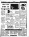 Western Evening Herald Saturday 14 January 1989 Page 15