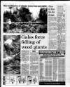 Western Evening Herald Thursday 01 March 1990 Page 15