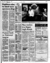 Western Evening Herald Wednesday 11 April 1990 Page 29