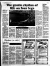 Western Evening Herald Saturday 26 February 1994 Page 19