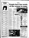 Western Evening Herald Monday 01 January 1996 Page 13