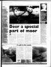 Western Evening Herald Saturday 09 January 1999 Page 31