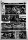 Hull Daily Mail Saturday 02 January 1988 Page 37