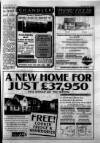 Hull Daily Mail Thursday 12 August 1993 Page 89