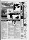 Hull Daily Mail Monday 02 January 1995 Page 19