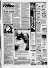 Hull Daily Mail Friday 24 November 1995 Page 31