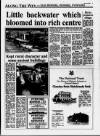 Surrey Herald Thursday 12 August 1993 Page 93