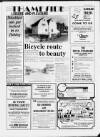Sunbury & Shepperton Herald Thursday 01 September 1988 Page 45