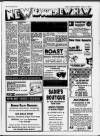 Sunbury & Shepperton Herald Thursday 13 February 1992 Page 17
