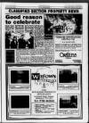 Sunbury & Shepperton Herald Thursday 23 April 1992 Page 31