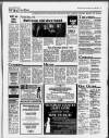 Sunbury & Shepperton Herald Thursday 20 May 1993 Page 33