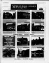 Sunbury & Shepperton Herald Thursday 24 June 1993 Page 51