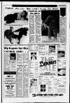 Western Gazette Friday 02 January 1987 Page 9