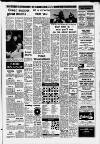 Western Gazette Friday 02 January 1987 Page 17
