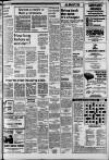 Croydon Advertiser and East Surrey Reporter Friday 02 July 1982 Page 13