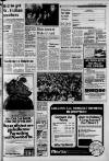 Croydon Advertiser and East Surrey Reporter Friday 02 July 1982 Page 17