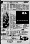 Croydon Advertiser and East Surrey Reporter Friday 02 July 1982 Page 19